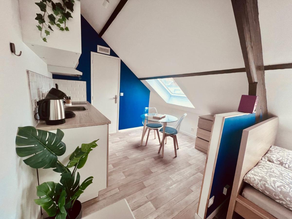 Les Studios De La Villa Jules Verne Amiens Bagian luar foto